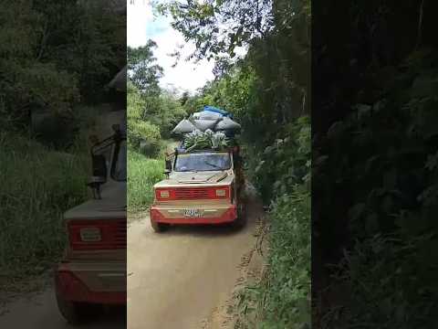 Aro carpati bajando con dos toneladas de café hacia Teruel Huila #campo #café #arocarpati