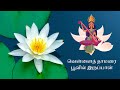 வசந்த பஞ்சமி சிறப்பு வெளியீடு வெள்ளை