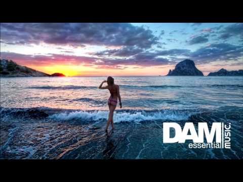 Dam Essential Music House Mix 1 Hour Silver Ivanov