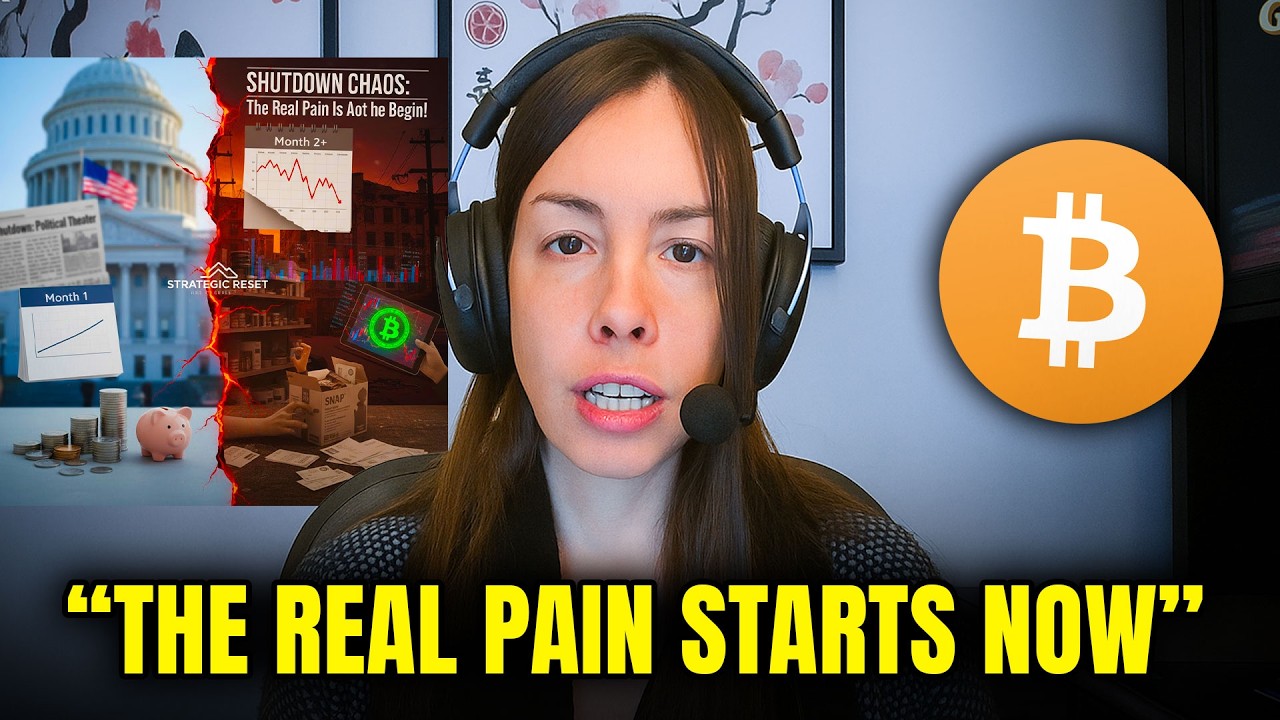 "SHUTDOWN CHAOS: The Real Pain Is About to Begin” - Lyn Alden