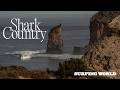 Shark Country