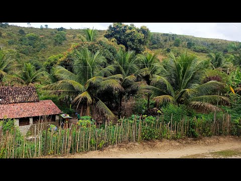 Vende se esse sítio no Granito zona rural de Catende PE 70.000 (081)996309085