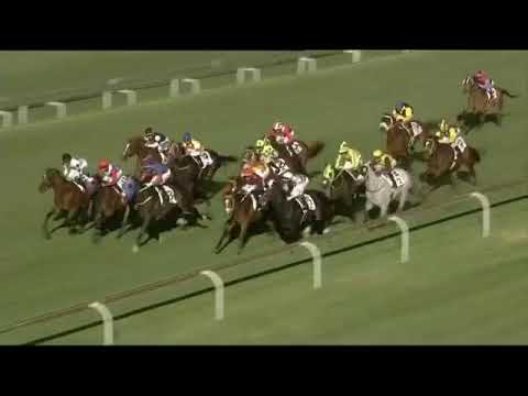 2019.11.30 Merchants (RSA) - Mardi Gras