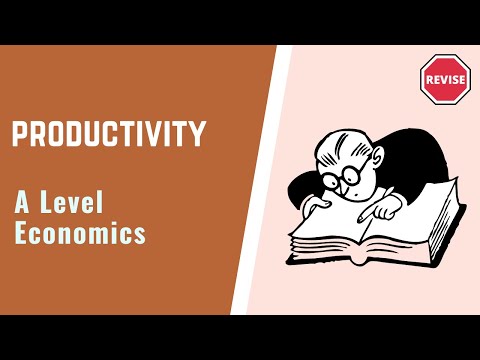 A Level Economics - Productivity