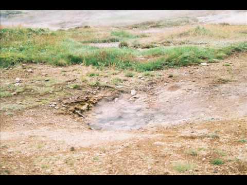 Sólstrandargæjarnir - Skrytið