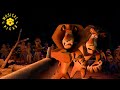 Alex On The Spot Alex S Dance Scene Madagascar Escape 2 Africa