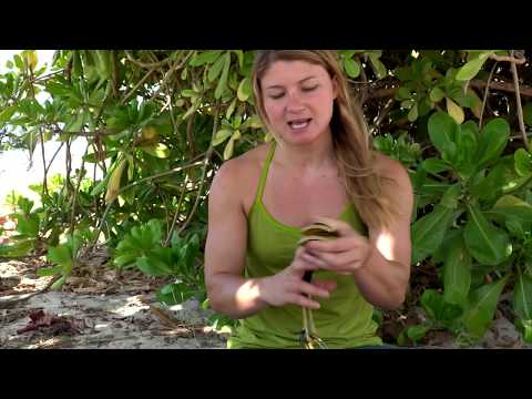 Expedition Desert Fortress, Climbing Masterclass