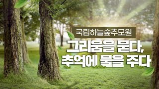 [#국립하늘숲추모원] 그리움을 묻다, 추억에 물을 주다