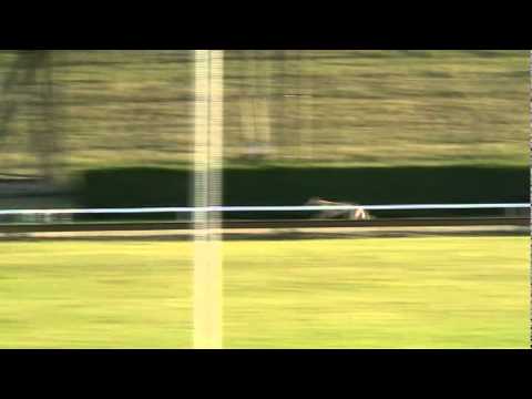 Queen Jade first trial