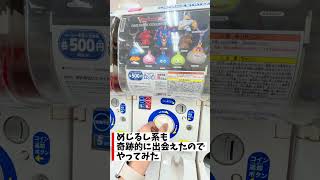 ドラゴンクエストのカプセリウムに出会った　#ガチャガチャ #ドラクエ #めじるしアクセサリー
