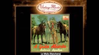 Antonio Aguilar -- La Mula (Ranchera) (VintageMusic.es)