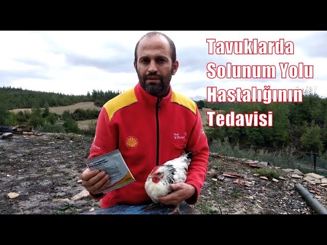 Video Pronunciation of Terramycin in English