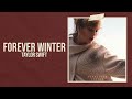 Taylor Swift - Forever Winter (Taylor's Version) [From The Vault] (Lyric Video) HD