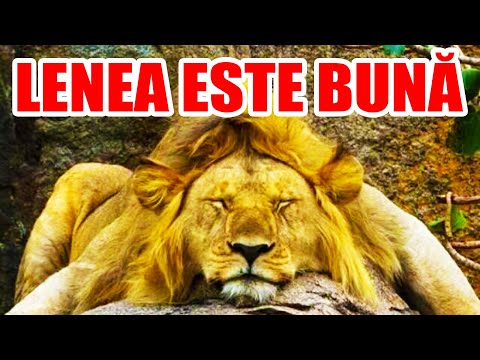 10 MOTIVE pentru LENE 🤓