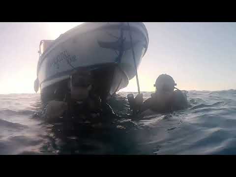 Diving Tubbataha Philippines 2025 Ben Linders