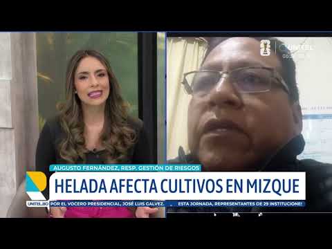 Cochabamba: Heladas afectan alrededor de 320 hectáreas de cultivos en el municipio de Mizque