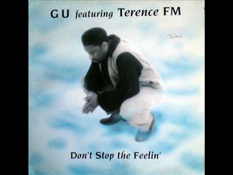 Gu Ft Terrence FM  Don't Stop The Feelin'