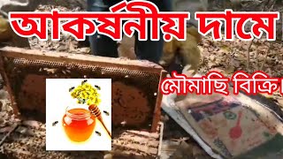 মৌমাছি বিক্রিয় চলছে |sell Honey bees|New beekeeper|