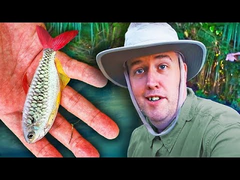 Aquarium Co-Op and Aquarist Podcast