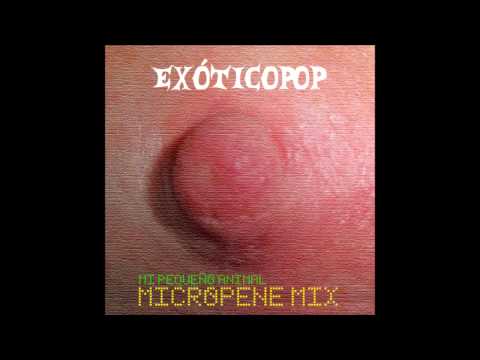 Exóticopop - Mi pequeño animal Micropene Mix