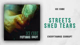 Ice Cube - Streets Shed Tears (Everythangs Corrupt)