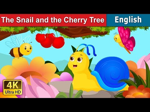 download lagu mp3 mp4 The Story Of The Cherry Tree, download lagu The Story Of The Cherry Tree gratis, unduh video klip The Story Of The Cherry Tree