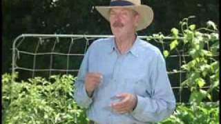 Mel Bartholomew - Introducing Square Foot Gardening