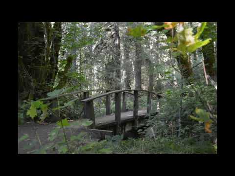 66-Advanced Head Roll