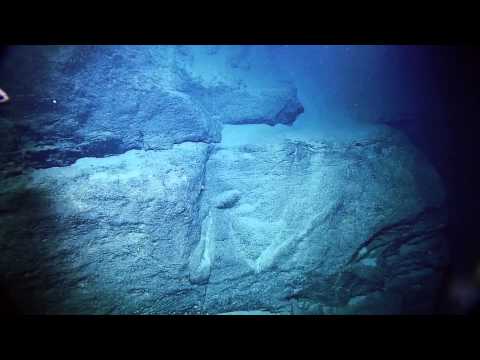 Climbing the Florida Escarpment | Nautilus Live