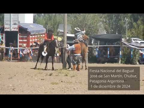 I Fiesta Nacional - XX prov.  del Bagual - José de San Martín, Chubut, Patagonia Argentina - 1/1/24
