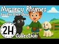 Baa Baa Black Sheep By Hamish And Clyde 2 Hours Collection KittyCatCollection