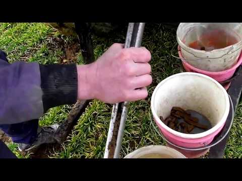 Bodenproben vor Düngung I Hilenta