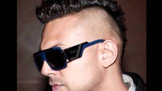 ★ Sean Paul - Party Campaign ♫ [NEW SONG 2011 - December]