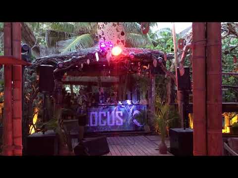 ALLEY CAT Locus Festival Tulum Mexico