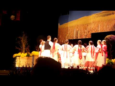 KUD Krešimir Stuttgart Bad Cannstatt - Posavina "Leti Leti"