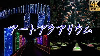 [問卦] 銀座金魚 Art AQUARIUM