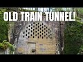 I Found An Old Train Tunnel Deep In The Woods!