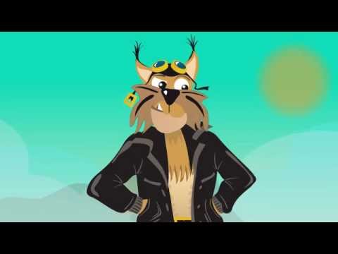 Rysiek WidziMisie - darmowy antyradar i wideorejestrator w jednym!