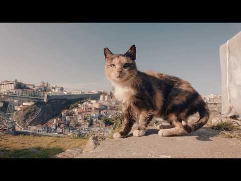 ライカM-Dでポルトを探索 (Exploring Porto with the Leica M-D)