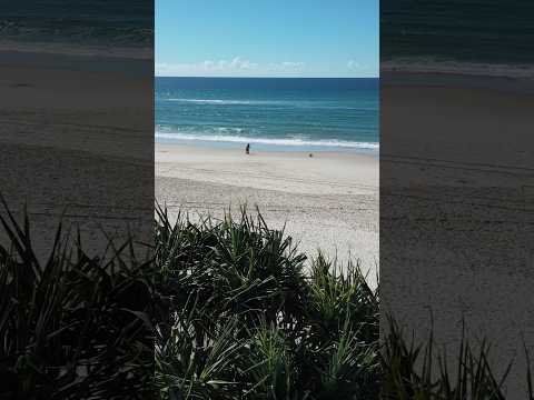Palm Beach #shorts #goldcoast #australia #beach #ocean #travel #holiday #sunset #viral #sea #qld