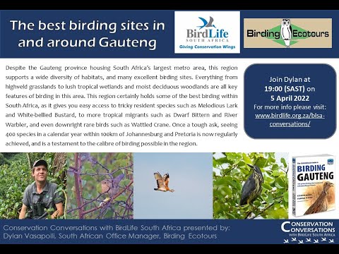 Conservation Conversations: Dylan Vasapolli - Wider Gauteng