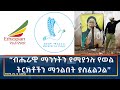 Ethiopia Esat Amharic Night Time News 8 November 2025