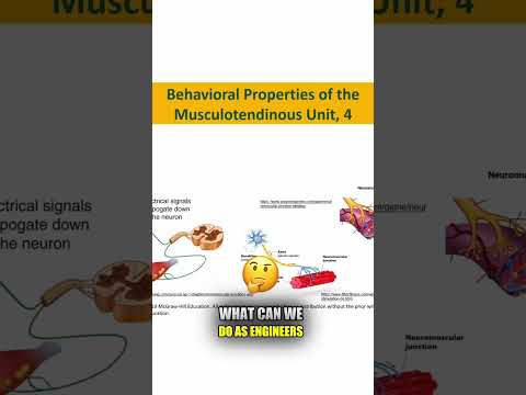 How to Use EMG to SPY on Your Muscles