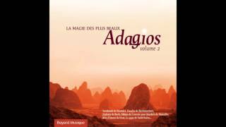 Sylvie Dambrine, Ensemble La Partita - Concerto pour flûte F VI, No. 7 in A Minor: Larghetto