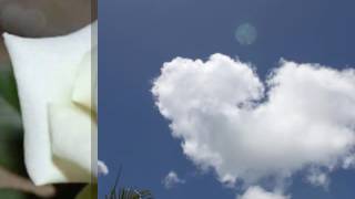 El Ángel Que Eres Tú - Sin Bandera....!!!