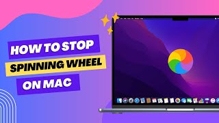 How to Stop The Spinning Wheel on Mac - 2024 | The Spinning Wheel Of Death