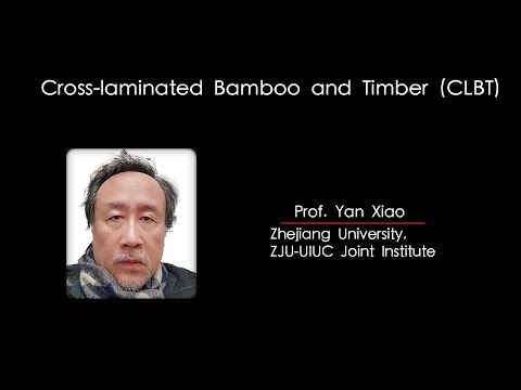 WWD 2023 Symposium - Topic 10-2 - Yan Xiao