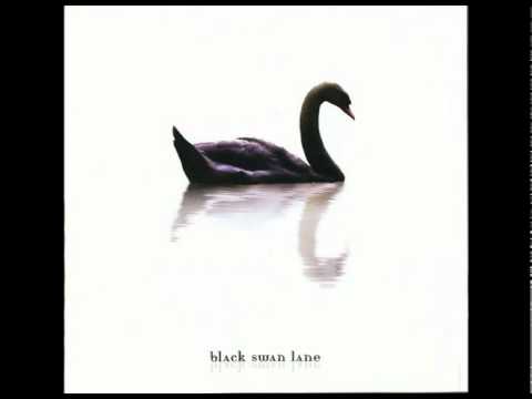 Black Swan Lane - Disillusioned