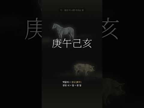 좋은 띠도, 나쁜 띠도 없다 | 띠 이야기 다섯째, 백말띠와 황금돼지