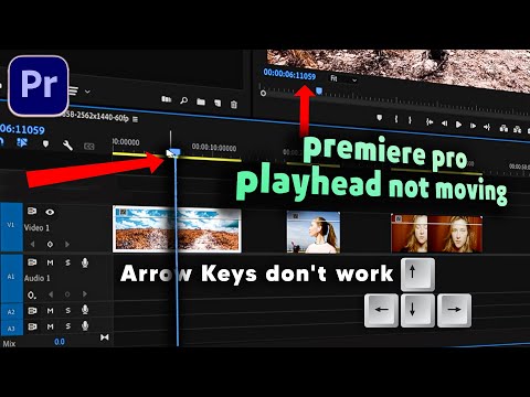 Adobe premiere pro Stuck timeline play head not moving | Premiere pro timeline problem in hindi